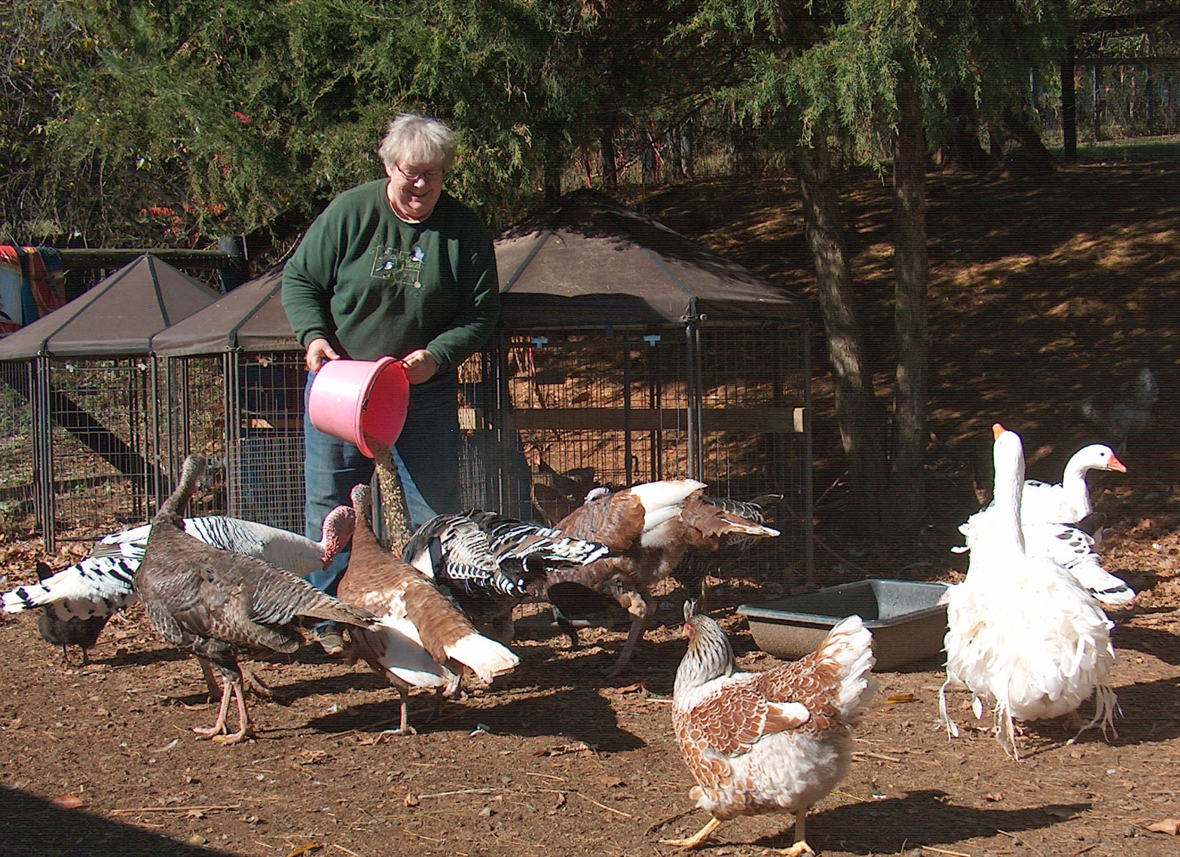 Photo_Caryl Buck on the farm_11-13_2019.jpg